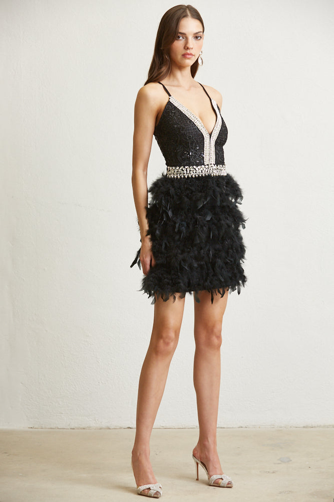 Dazzling Feathered Skirt Gown