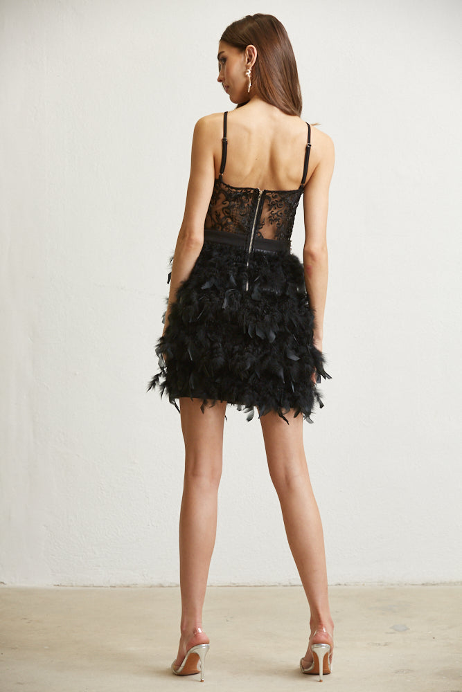 Dazzling Feathered Skirt Gown